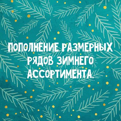 картинка Важное обновление: Зимняя верхняя одежда. от магазина ALiSa-Крокид
