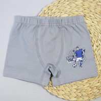 Трусы боксеры для мальчика DR 3352-3341 Серый GOAL