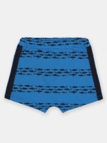 Шорты для мальчика CSBB 70392-42-380 Синий